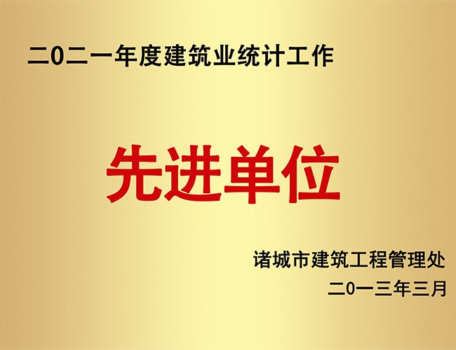 2021构筑业统计工作先进单元
