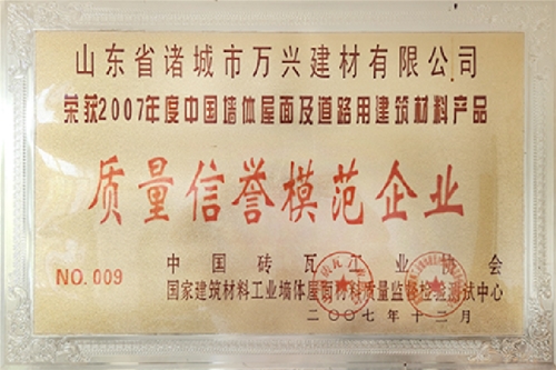 2007年度质量诺言圭表企业