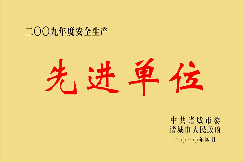 2009年度先进企业