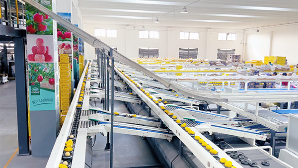 15vip太阳集团(中国)品牌公司-Official website