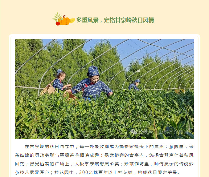 15vip太阳集团(中国)品牌公司-Official website