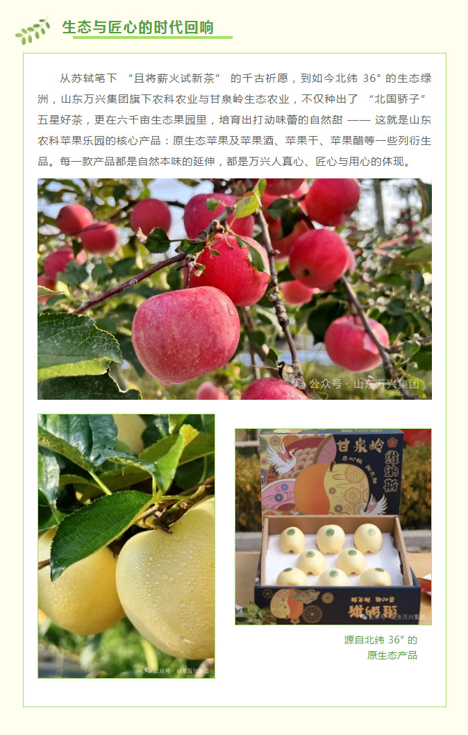 15vip太阳集团(中国)品牌公司-Official website