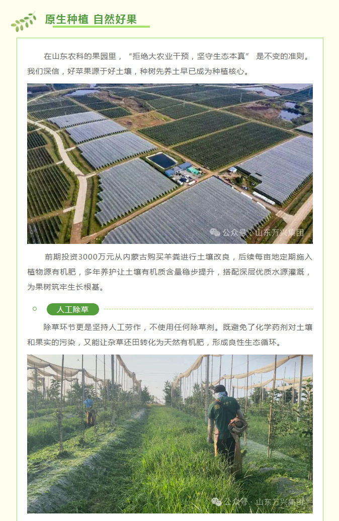 15vip太阳集团(中国)品牌公司-Official website