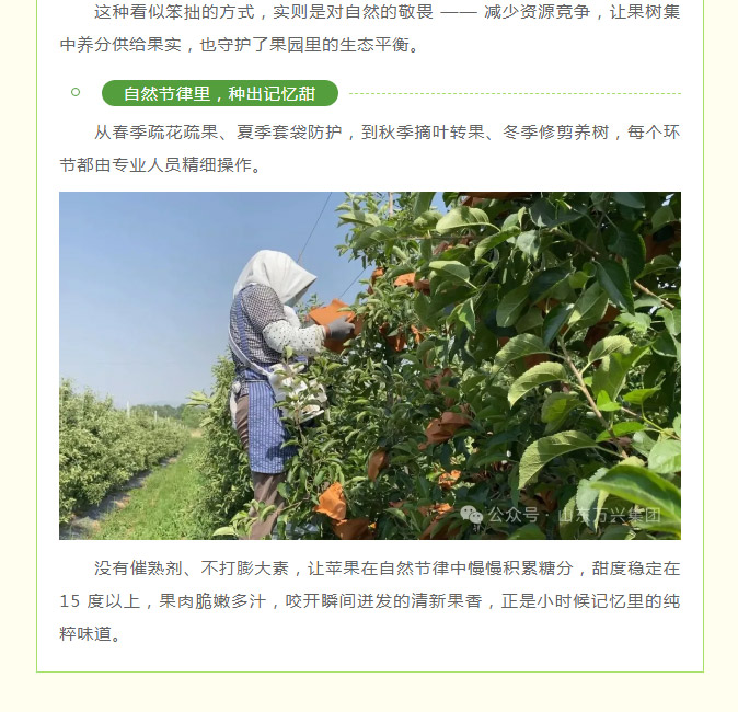 15vip太阳集团(中国)品牌公司-Official website