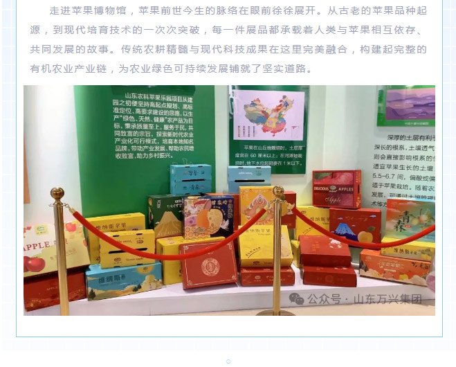 15vip太阳集团(中国)品牌公司-Official website