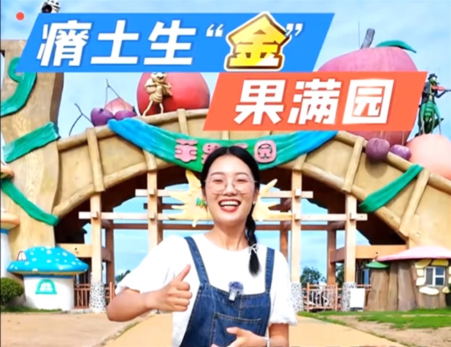 瘠土生“金 果满园