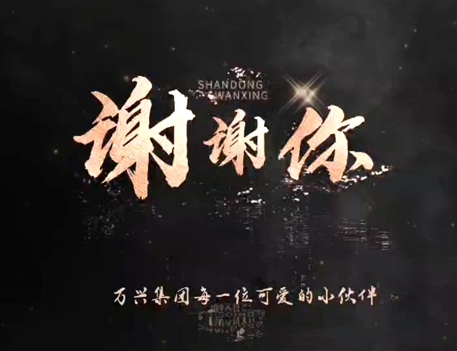 手语舞《感激你》