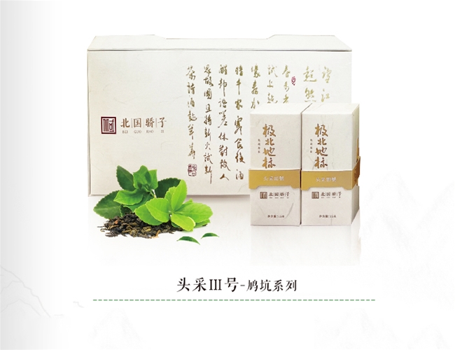 头采III号-鸠坑系列