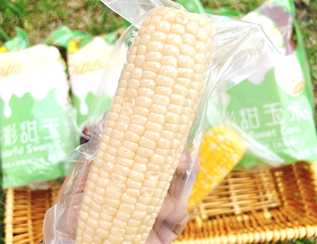 白甜玉米