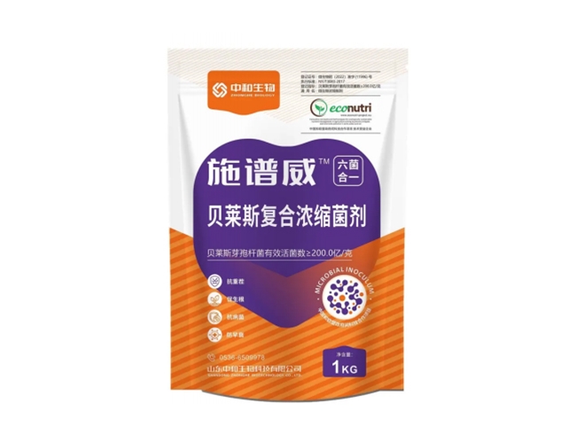 施谱威-贝莱斯复合浓缩菌剂